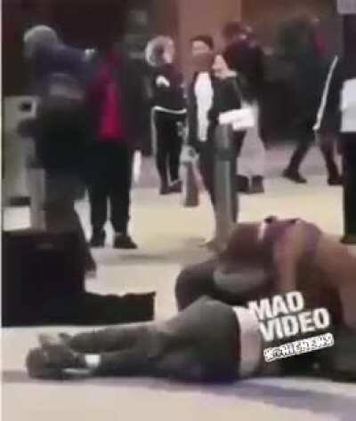 Dog is Peace's each other