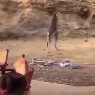 Pablo y Diego se pelean