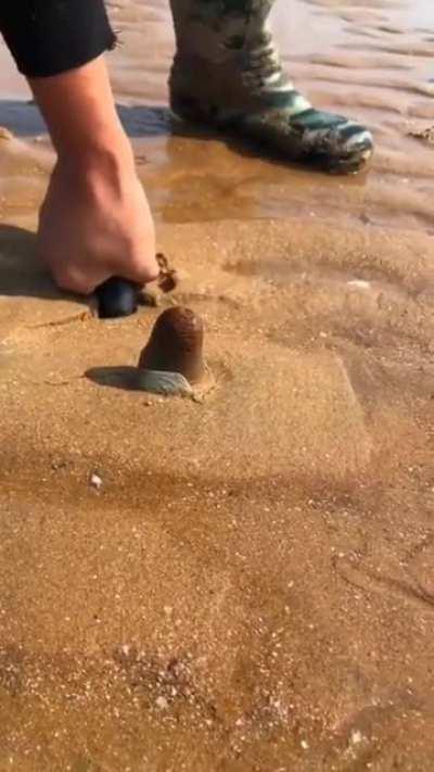 Thanks, I hate whatever this is