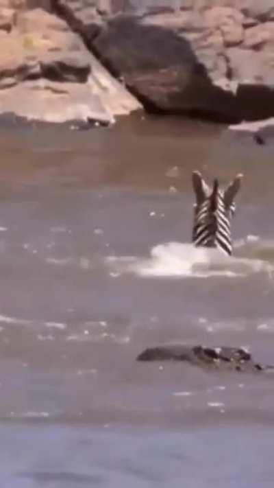 Today isn't the day....