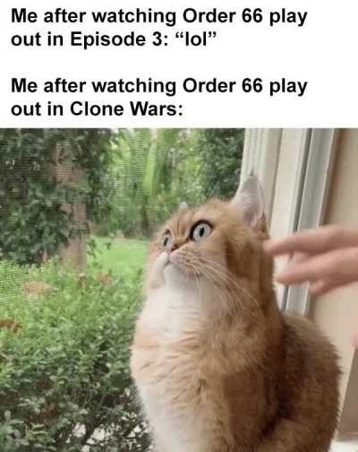 Victory & Death. . .