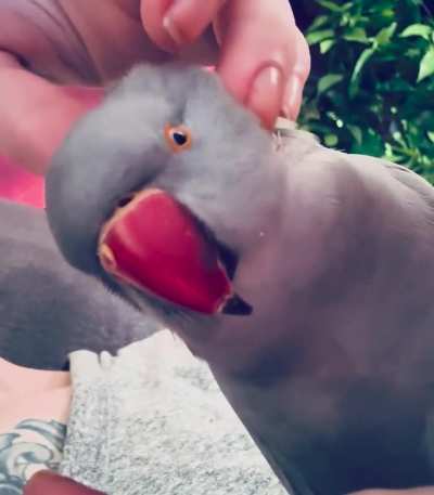 Serenity 🧘🏻‍♀️