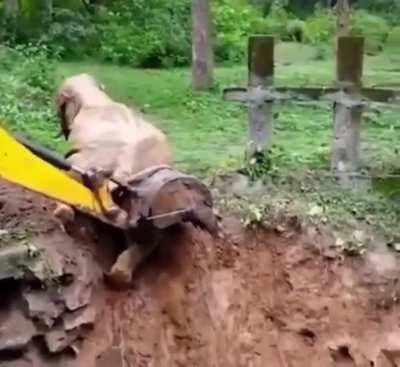 Humanity ❤️❤️... He came back to say thank you.. 🥹