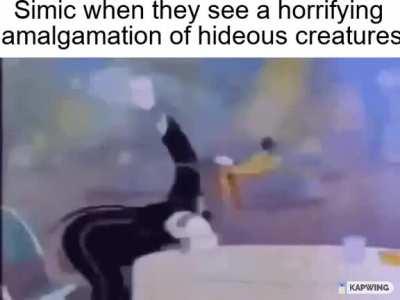 Each of the Guild and how they do the sex