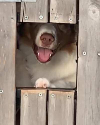 The good kind of choas