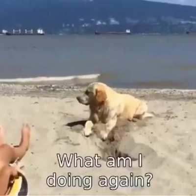 Don't forget what you are doing