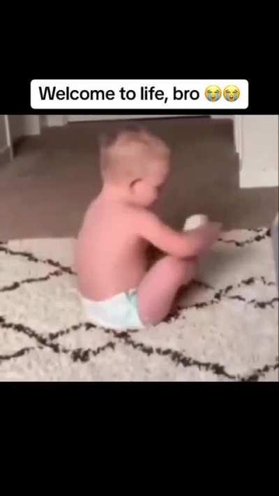 Life socks ... literally 