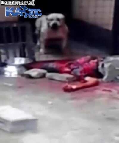 Late stage pit bull attack [NSFL]