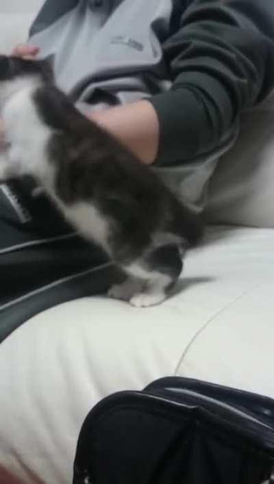 I'm going to sleep...here