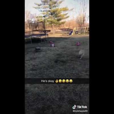 Yeeted up to the satellites in space