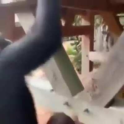 Just 2 primates being bros