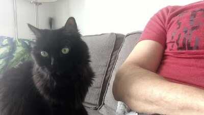 I held out as long as I could