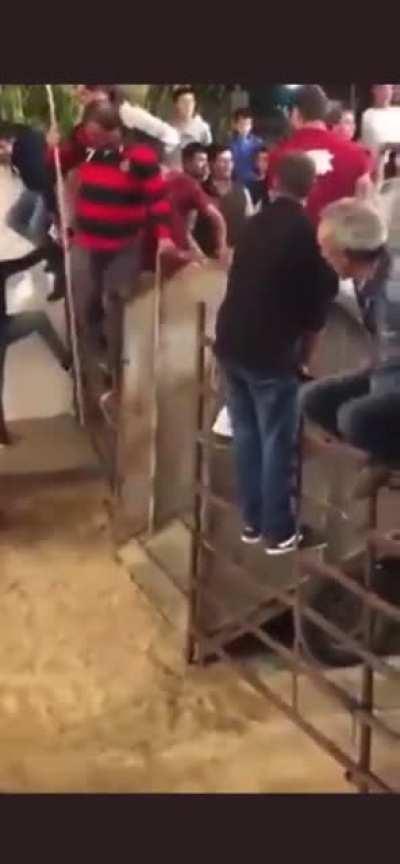 To spank a bull