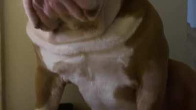 Yes? May I help you? ð¶ð