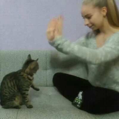 Smart Cat remembers Pattycake!