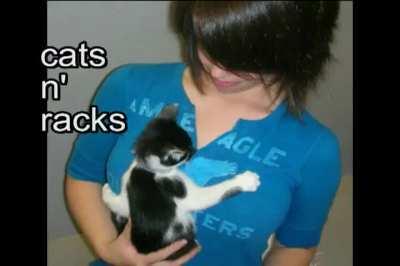 Cats n' Racks