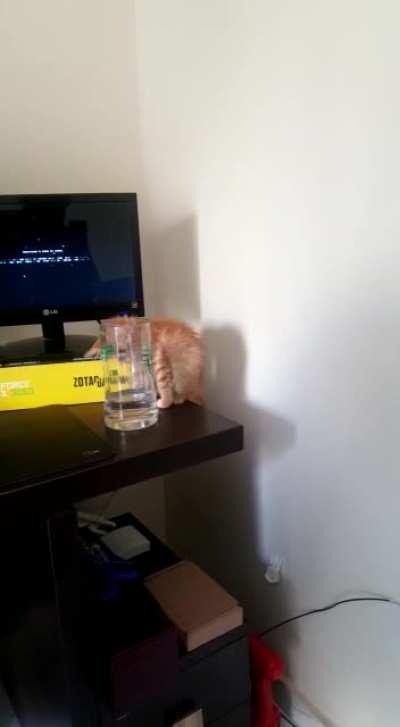 Illegally Smol Criminal that doesen't watch her own step