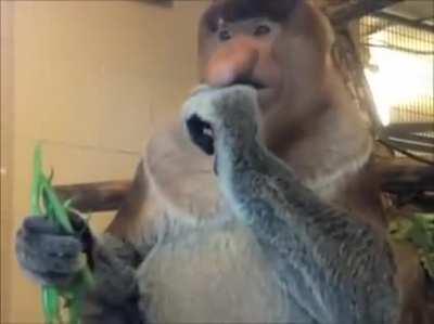 Me watching 2020 go by