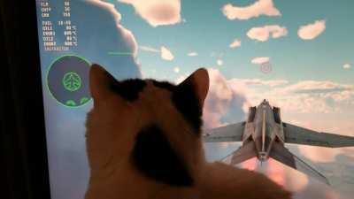 My RIO dilligently watching the radar.