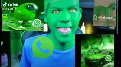 Whatsapp . Zap zap zap