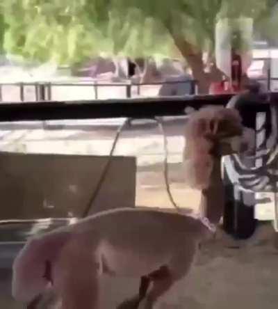 Here i go again on my own.