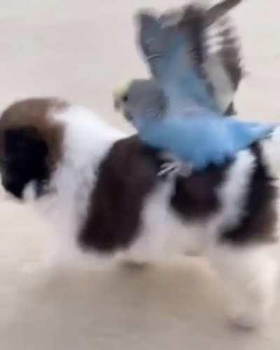 Biraz neşelen dostum bunu hak ettin