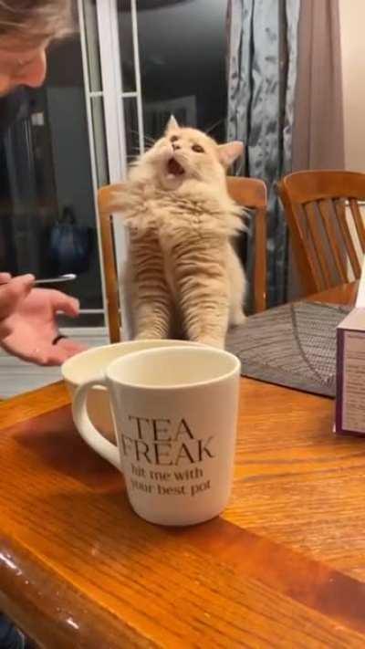 Wenn die Medizin einfach nicht schmeckt…