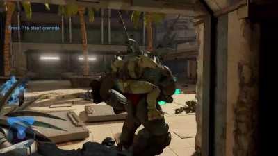 Best update. 343 have outdone themselves this time!