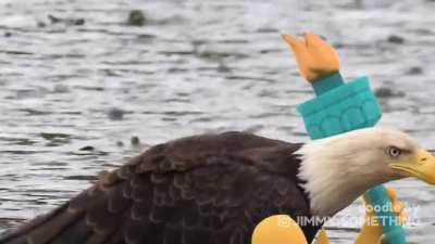 A FULL mockup of new research funded by the US government we are currently developing in our laboratories in Ukraine. (credit to OP: /u/omgwerhvngafire_sale)