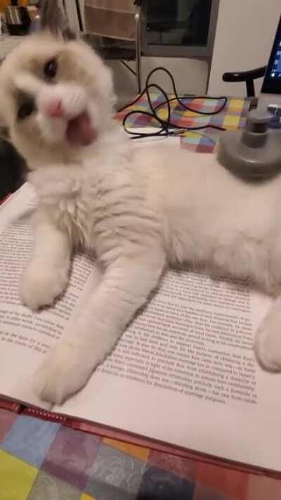 It's time to brush...