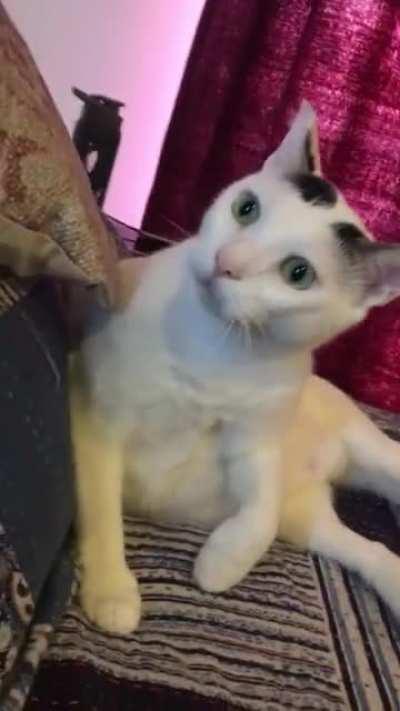 Pretending to freeze on a zoom call