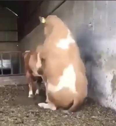 To get a little action