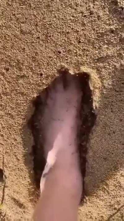 Unless you’re into that kind of thing