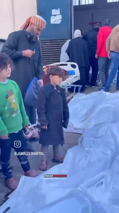 Palestinian Holocaust