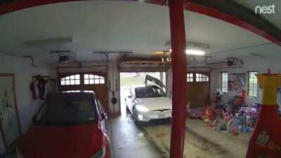 Mom forgot to close the door on her Tesla