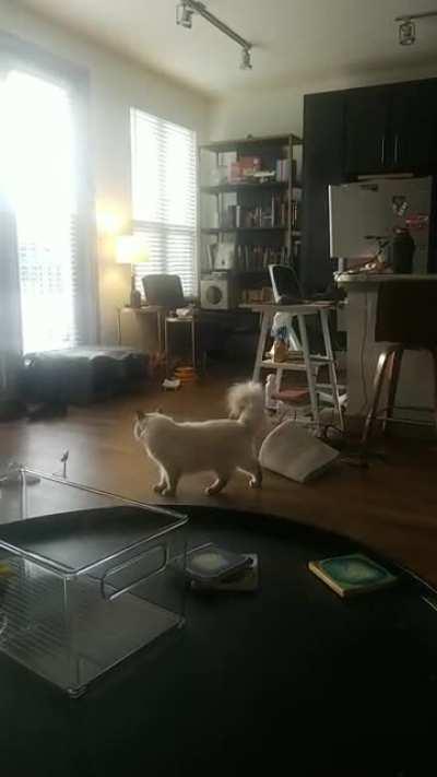 GREEBLES IN THE BASKET