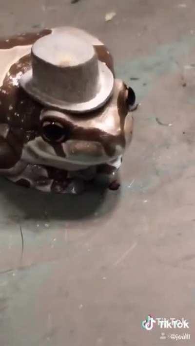 Distinguished 🐸 Gentleman 🐸