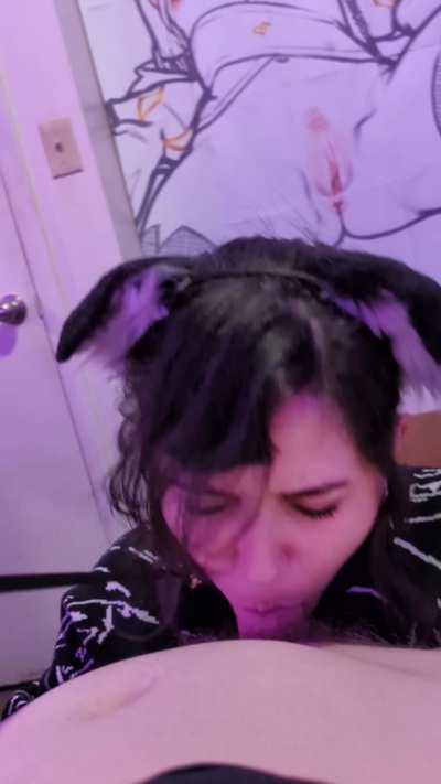 puppy forced into sucking owners cock with leash >_<