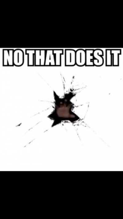 The internet blew up this vid of a minor singing a copypasta so much so that it was animated several times