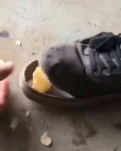 This is so stupid why can't I stop watching it