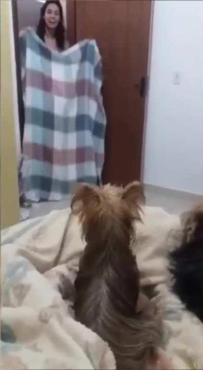 And they say wrestling is fake... smh