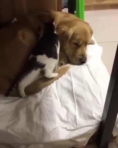 A rather unexpected outcome