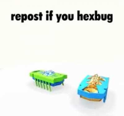 Repost if you hexbug, do nothin' if horny
