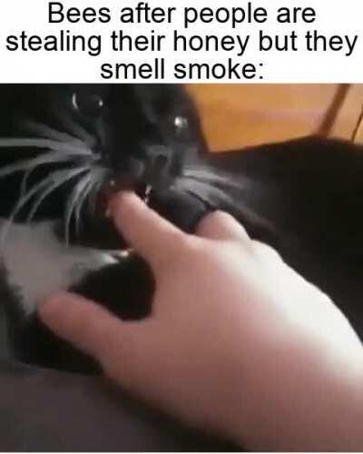 Oh ok, cool. Go ahead, then.