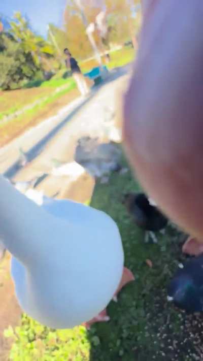 pov: you are a seed or perhaps a grain or a corn