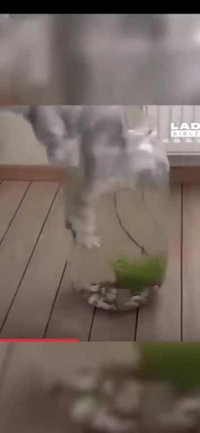 Why do people even allow it to get that far! 🤦🏻‍♀️