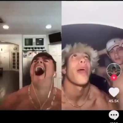 AAAAAAAAAAAAAAAAAAAAAAAAAAAAA- oh hey charlie- AAAAAAAAAAAAAAAAAAAAA