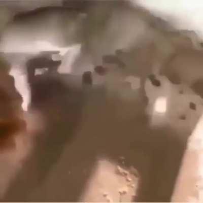 such beautiful singing