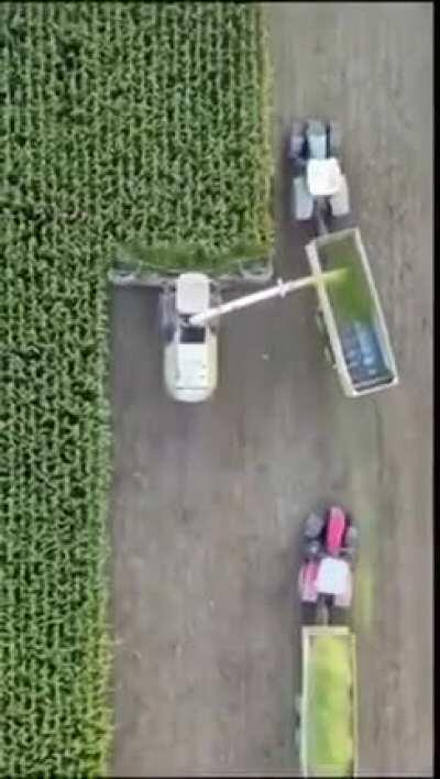 Hold My Redbull Whilst I Harvest Crops