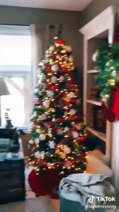 the worlds best future mother in law goes to...